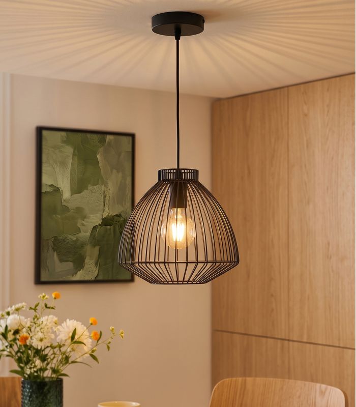 Suspension LINZ