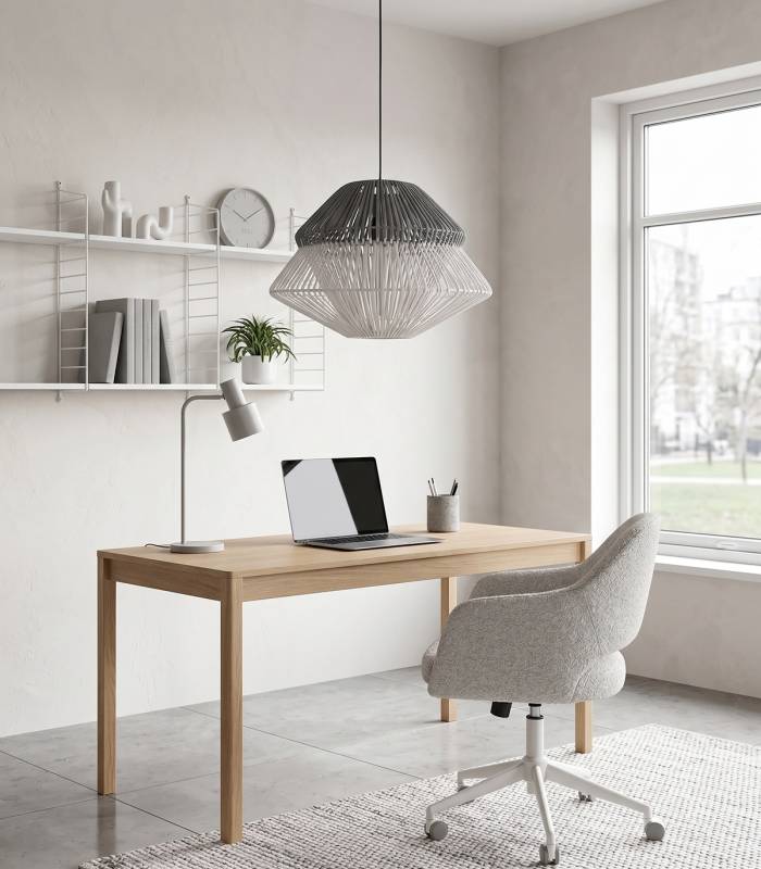 Luminaire pour chambre, pour bureau, pour salon
